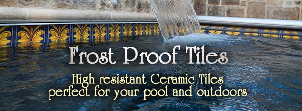 Frost Proof Tiles